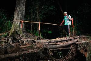 BIB: 
                            <button type="button" onclick="openModal(27428911)" class="btn btn-primary btn-sm float-right btn-popup" data-toggle="modal" data-target=".modal-high-quality">
                        <i class="fas fa-shopping-cart"></i> Add to Cart
                    </button>
                                            <button type="button" onclick="isThisMe(27428911, true)" class="btn btn-success btn-sm float-right btn-popup btn-isme hidden" data-toggle="tooltip" data-placement="bottom" title="นี่คือรูปของคุณใช่ไหม คลิกที่นี่เพื่อเอาเข้าอัลบั้ม">
                        <i class="fas fa-plus"></i> Add to album
                    </button>
                    <button type="button" onclick="isThisMe(27428911, false)" class="btn btn-warning btn-sm float-right btn-popup btn-isnotme hidden">
                        <i class="fas fa-ban"></i> Remove from album
                    </button>